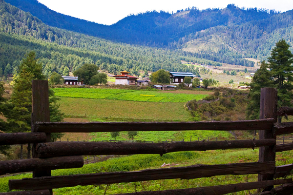 View of Phobjikha Valley 